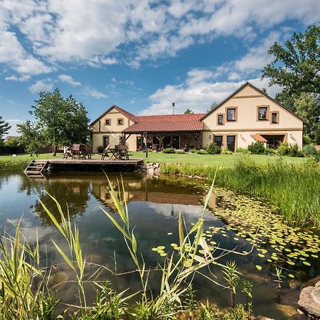 Penzion U Lisky Jarosov nad Nezarkou Buitenkant foto