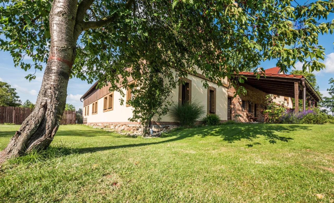 Penzion U Lisky Jarosov nad Nezarkou Buitenkant foto