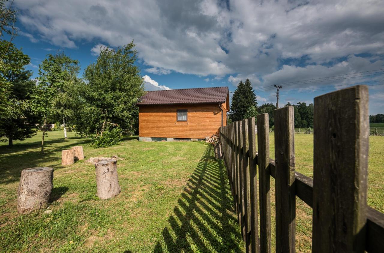 Penzion U Lisky Jarosov nad Nezarkou Buitenkant foto